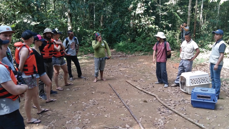 12 animales emblemáticos de la Amazonia liberados