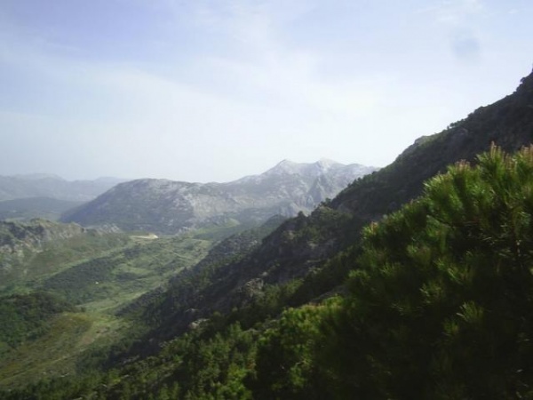 La Junta de Andalucía aboga por compatibilizar valores ambientales de reservas con desarrollo social y económico