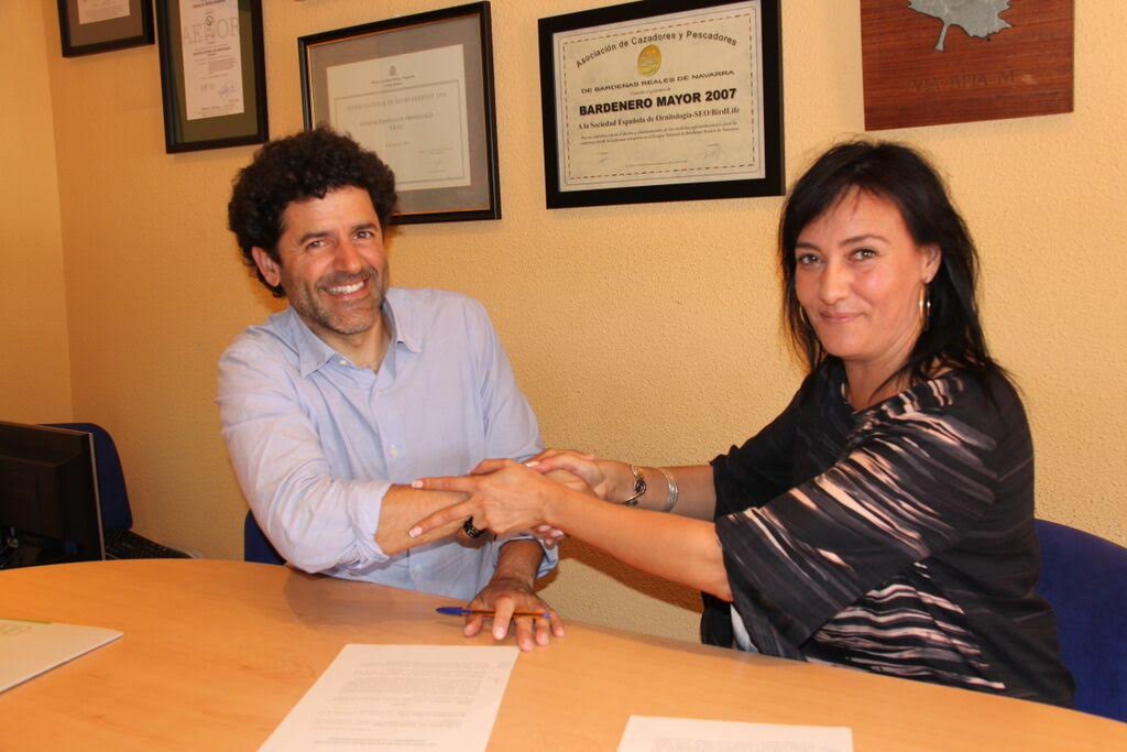 Depósito y retorno de envases de bebidas de un solo uso en España