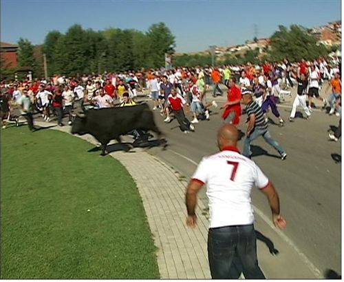 Castilla y León no se plantea emprender acciones hacia la prohibición de la festividad del Toro de la Vega