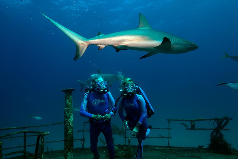 El Festival Internacional de Cine de Medio Ambiente de Barcelona (FICMA) inaugurará su 24 edición con el film: LAS MARAVILLAS DEL MAR