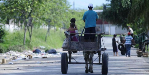 Argentina. Quieren poner fin a la tracción a sangre en Tucumán