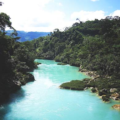 Entregan apoyos para reducción de emisiones en Selva Lacandona