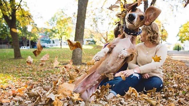 El perro salchicha que ‘roba’ el protagonismo en las fotos a sus jovenes propietarios
