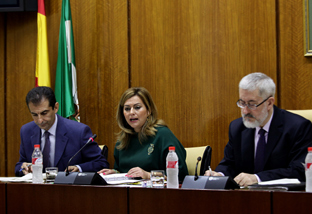 La superficie afectada por incendios forestales en Andalucía este año ha sido un 24% menor a la media de la última década