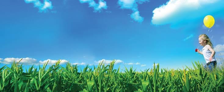 Los españoles se consideran Ecofriendly