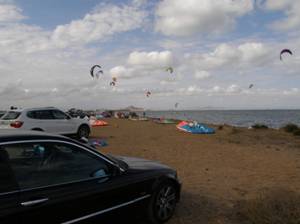 ANSE y alumnos del Mar Menor concluyen la restauración de los arenales protegidos de Lo Poyo (Murcia)