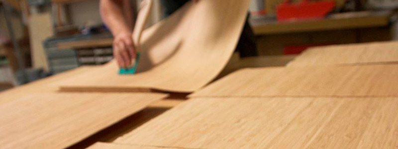 Proyectan Centro de Innovación Tecnológica del Bambú