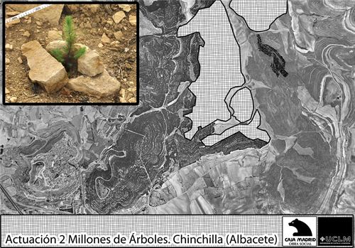 UCLM y Caja Madrid colaboran a nivel nacional para el desarrollo del programa 2 millones de árboles