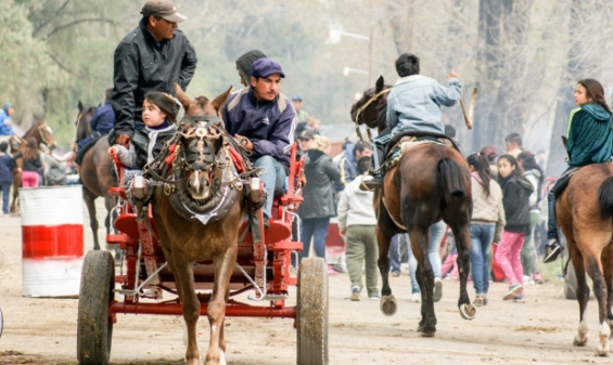 La peregrinación gaucha deja un caballo muerto y accidentes