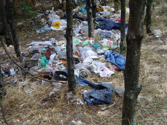 Una treintena de asociaciones asturianas recogen 18 toneladas de basura en espacios naturales
