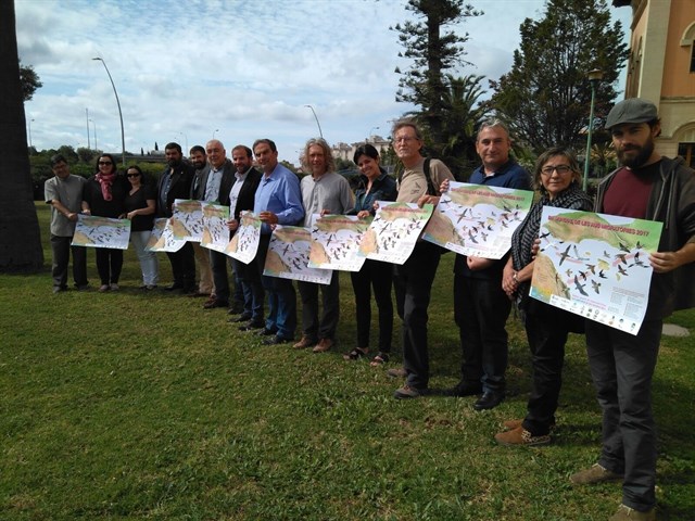 Más de 150 millones de aves migratorias pasan cada año por Baleares