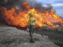 Quemas controladas de carrizales en el Parque Natural del Delta del Ebro