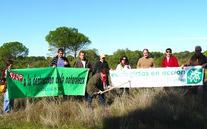 Deforestación y drones en Doñana