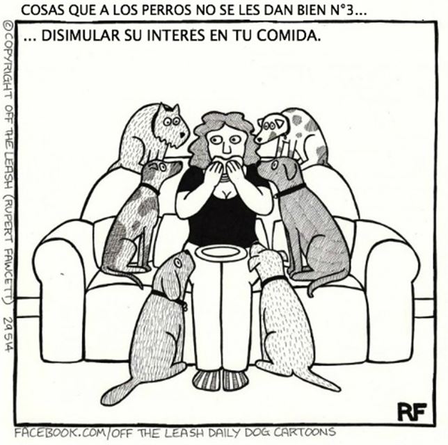 10 viñetas humorísticas sobre perros