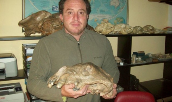 Aseguran que Norteamérica y Sudamérica se unieron hace 2