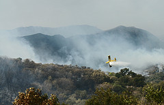 Los incendios forestales continúan arrasando los campos españoles