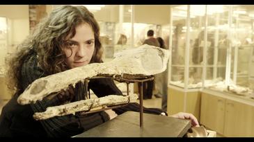 La maldición del cocodrilo de Ricla