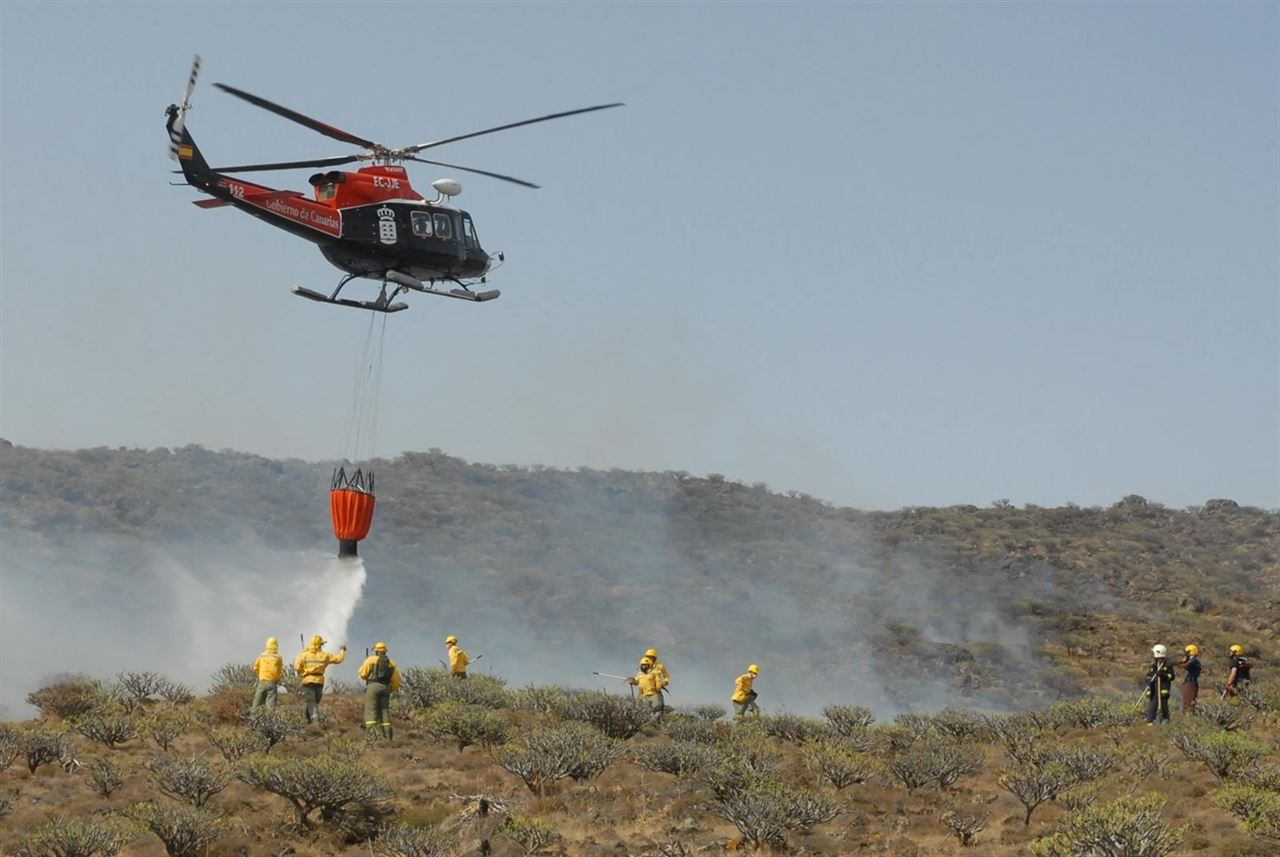 Dos tercios de los fuegos forestales intencionados en Andalucía durante 2015