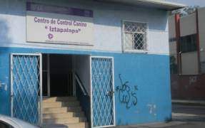 Capturados 25 perros en México DF tras el descubrimiento de varios cadáveres que presentaban mordeduras