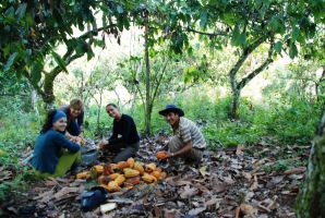 El ecoturismo y el desarrollo sostenible
