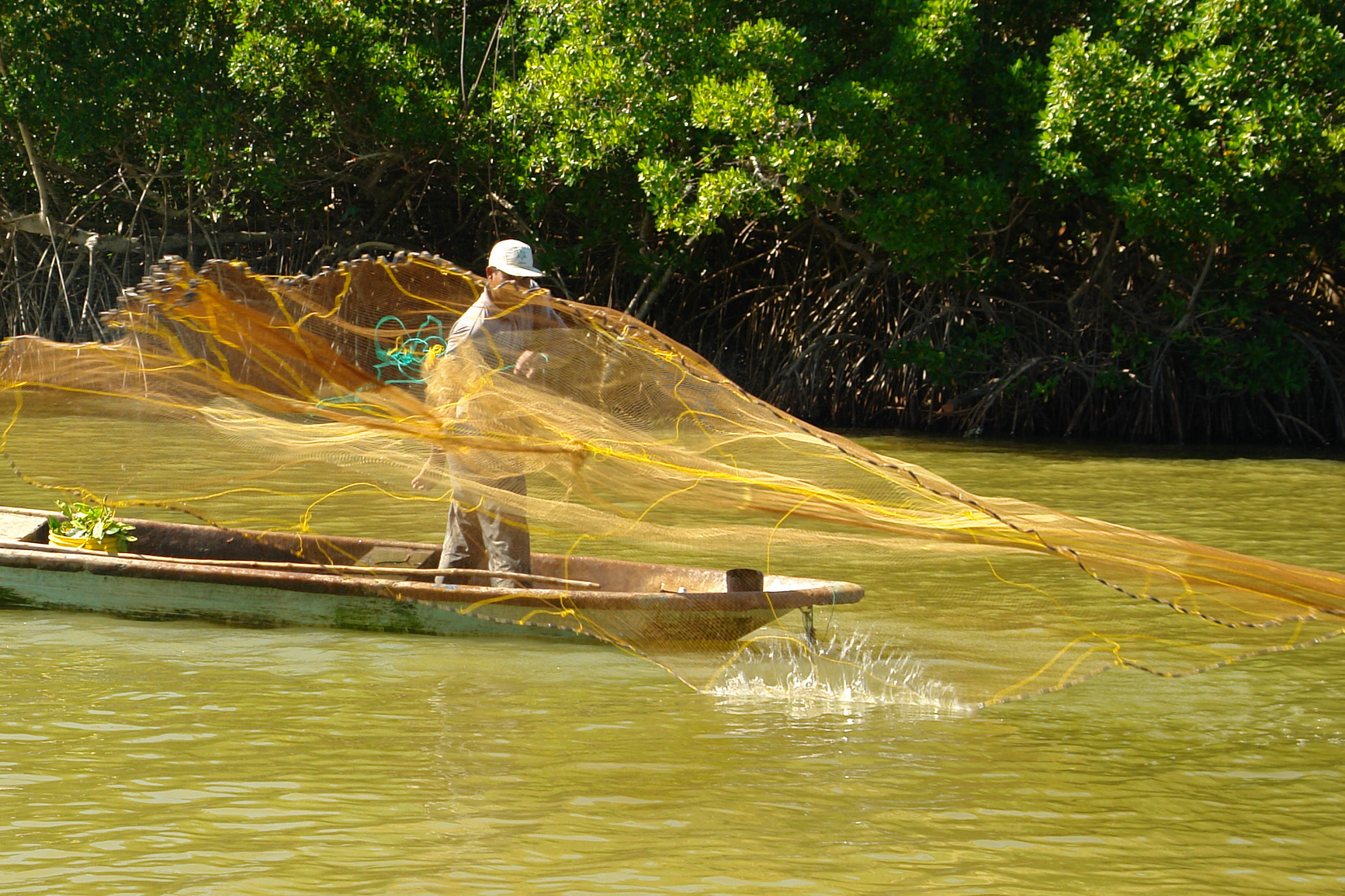 Ambiente Miranda con proyectos en pro del desarrollo sustentable