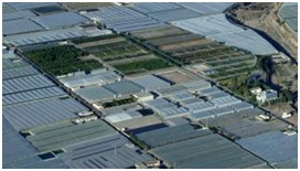 Euphoros: invernaderos sostenibles y con menor impacto ecológico