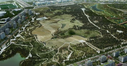 Ecologistas denuncia la revisión exprés del urbanismo madrileño