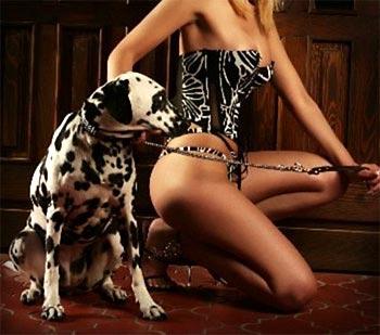 España se podría convertir en un santuario del cine porno con animales