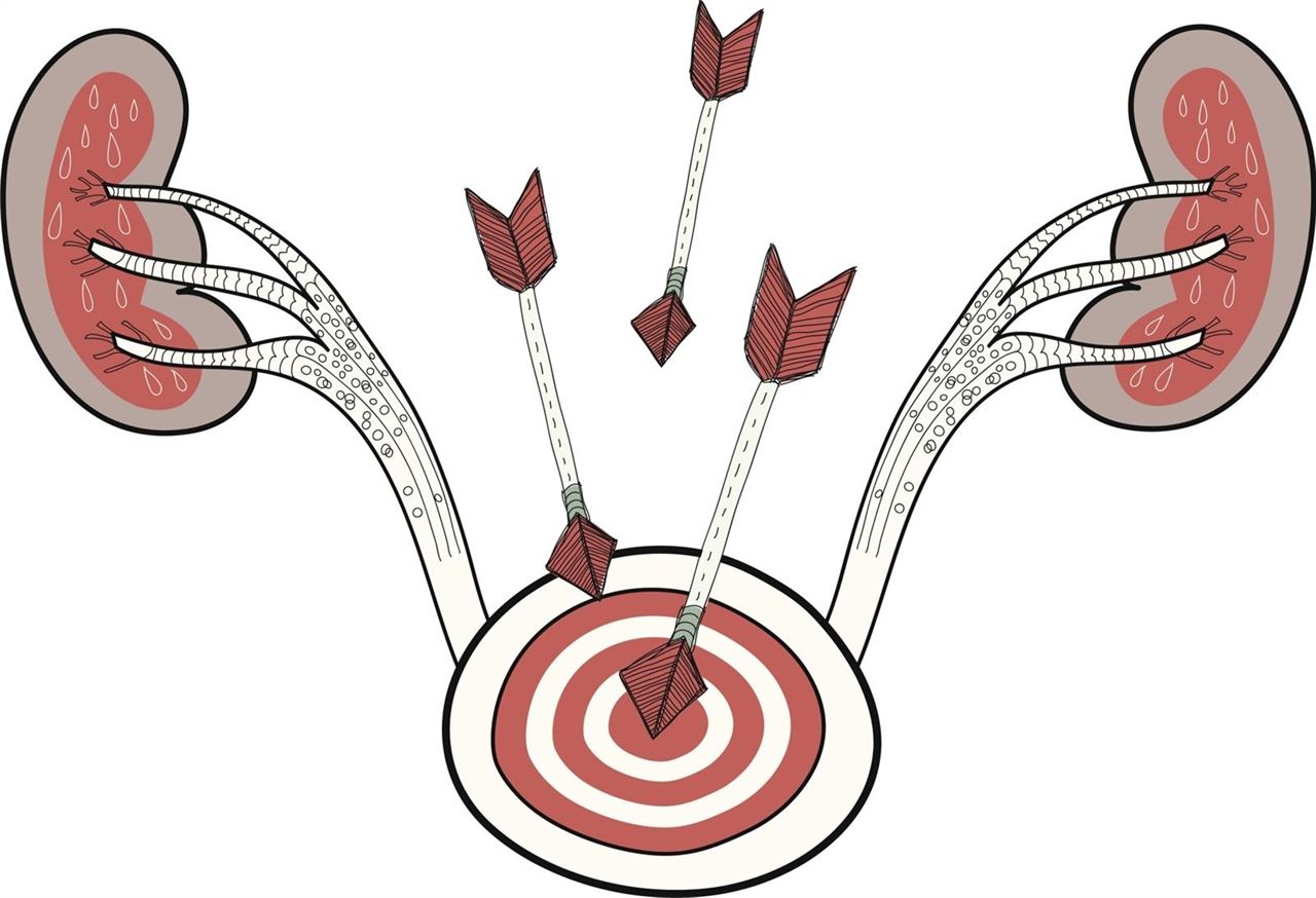 El calentamiento global aumentará los casos de enfermedad renal