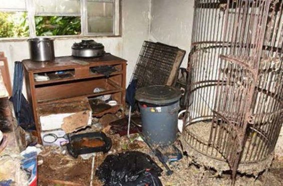 Estados Unidos. 2 personas detenidas por hacinar a 50 animales en un piso que luego ardió