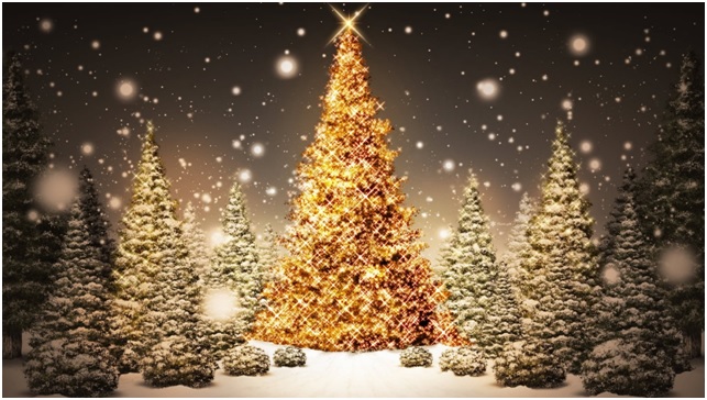 Costo ambiental de las fiestas de Navidad y Año Nuevo