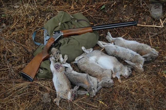 Extremadura se cubre de gloria con su nuevo Refugio para la Caza