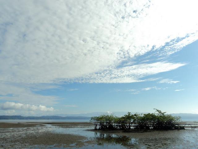 Una nueva opción para conocer la cultura y la naturaleza de Osa