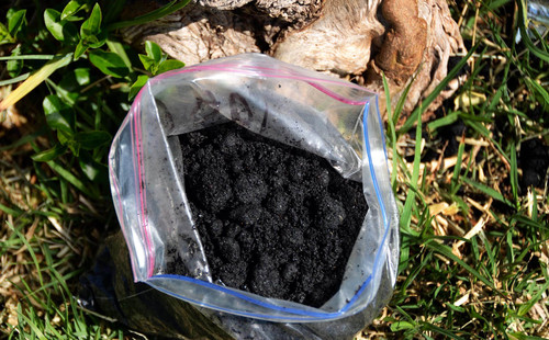 La UBU acoge una jornada divulgativa sobre la necesidad de proteger el suelo