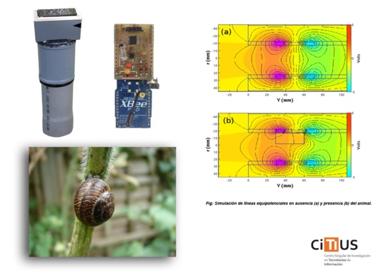 Patentan un nuevo sistema de visión artificial para la detección de caracoles y babosas