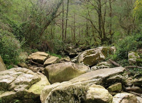 Inventario de bacterias del Bosque Atlántico