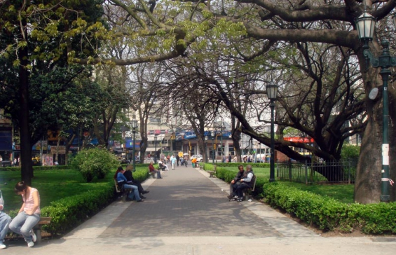 Buscan recuperar la flora nativa en la Ciudad de Buenos Aires con 10 mil ejemplares