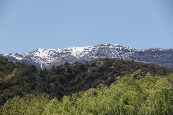 Chile. Impulsan proyecto para la conservación de biodiversidad en ecosistemas de montañas