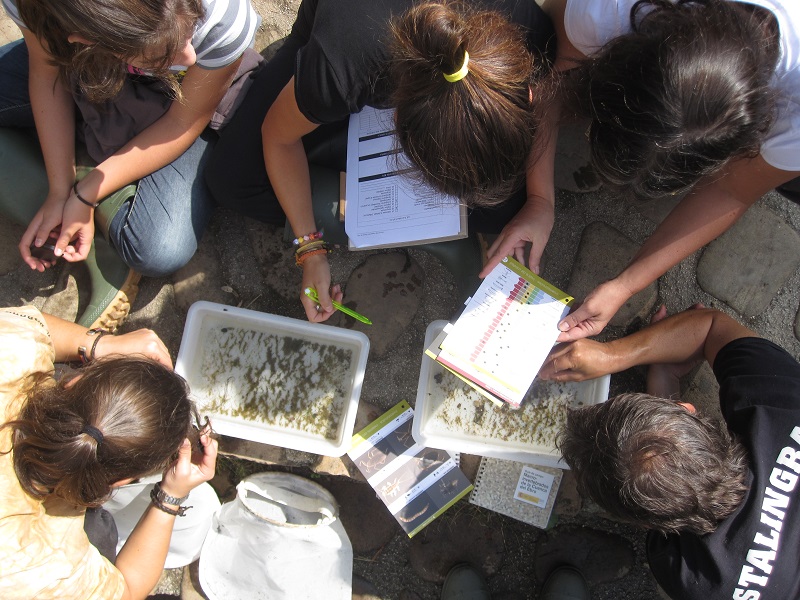 Un centenar de tramos fluviales serán muestreados por voluntarios del Proyecto Ríos.
