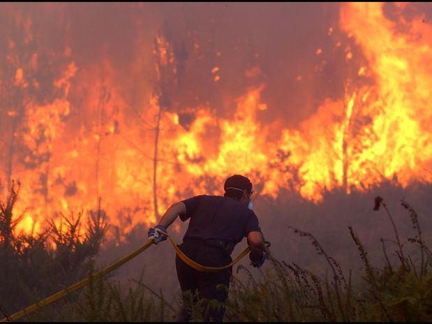21.285 hectáreas fueron afectadas por los incendios