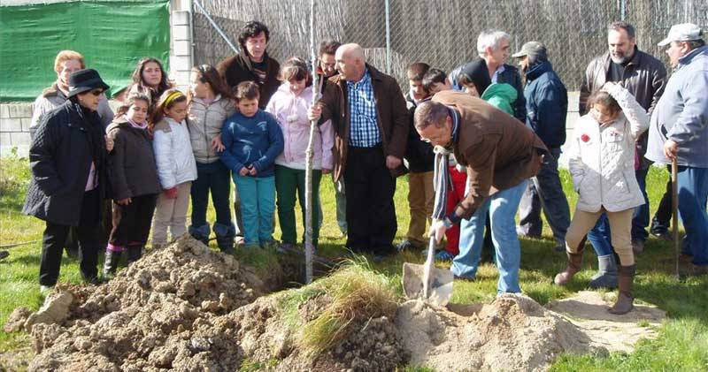 La Fiesta del Árbol de Villanueva de la Sierra (Cáceres)