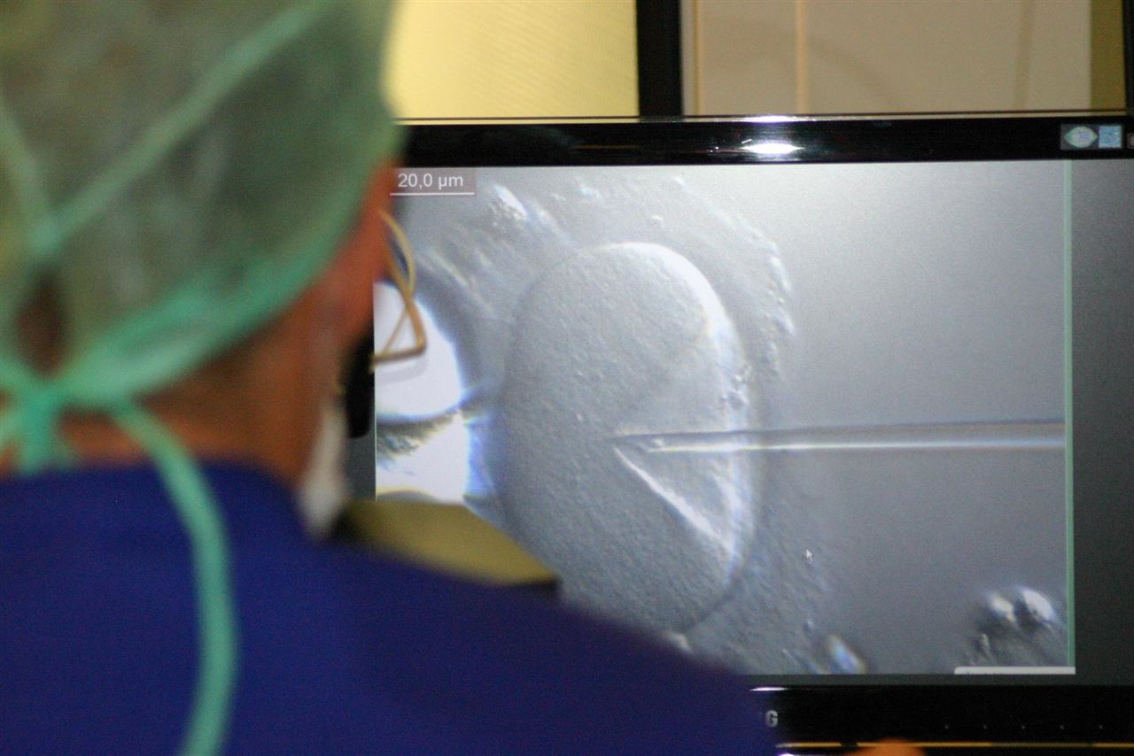 Esterilidad en hombres y medio ambiente