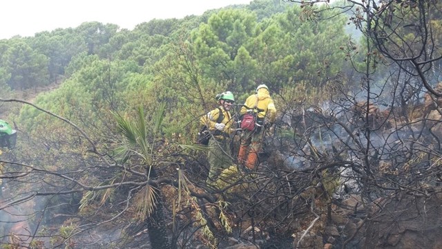 Cortan la carretera A-397 para facilitar labores de extinción en el incendio de Benahavís