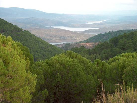 Proponen que se considere a los montes como ‘prestadores de servicios ambientales’