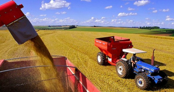Argentina. Condenan a dos cerealeras por contaminación en Rosario
