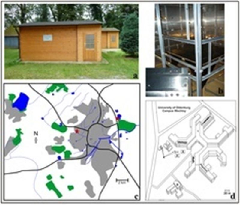 La Universidad de Oldenburg demuestra que las ondas de los dispositivos electrónicos desorientan a las aves migratorias