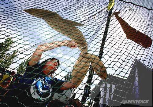 Pesca de arrastre/ Elemental