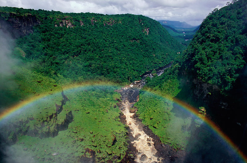 Conoces el Informe ‘Amazonía Viva 2016’