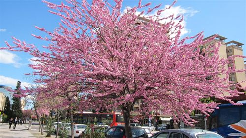 Las temperaturas en abril han sido 0